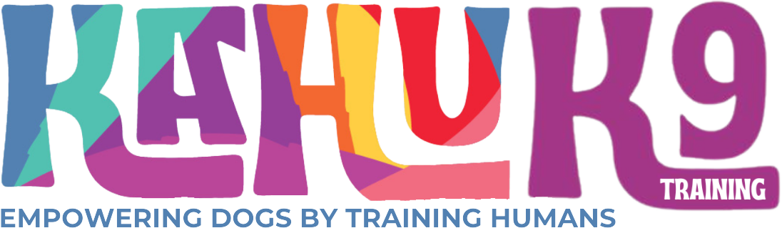 KAHU K9 Training