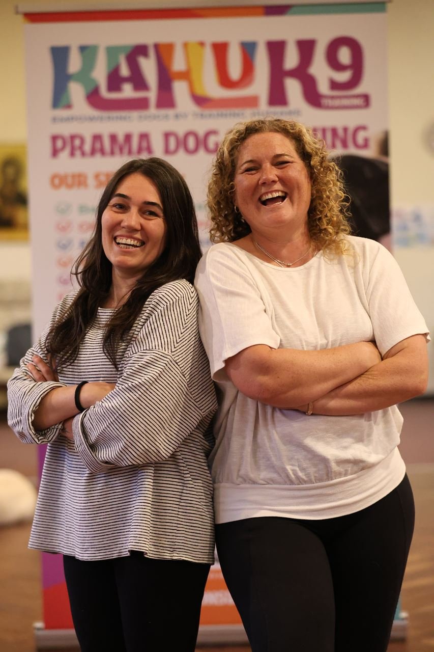 dog behaviour training session at Kahu K9