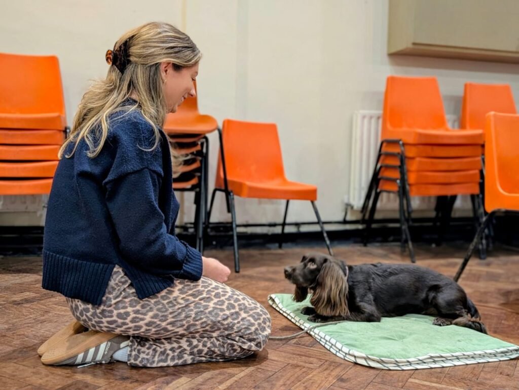 Dog behaviour training at Kahu K9 with owner and dog teaching place